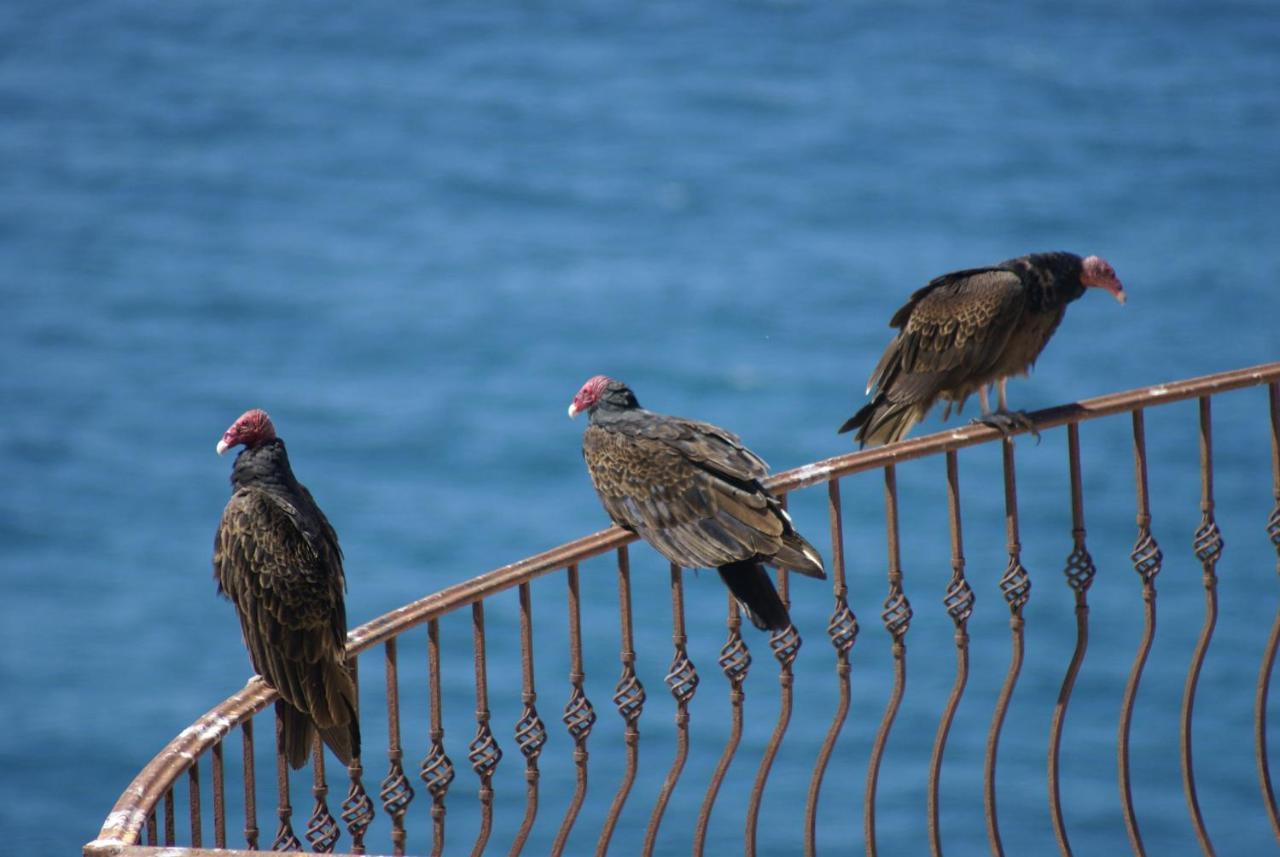 Willa Casa Punta Vista Cabo San Lucas Zewnętrze zdjęcie